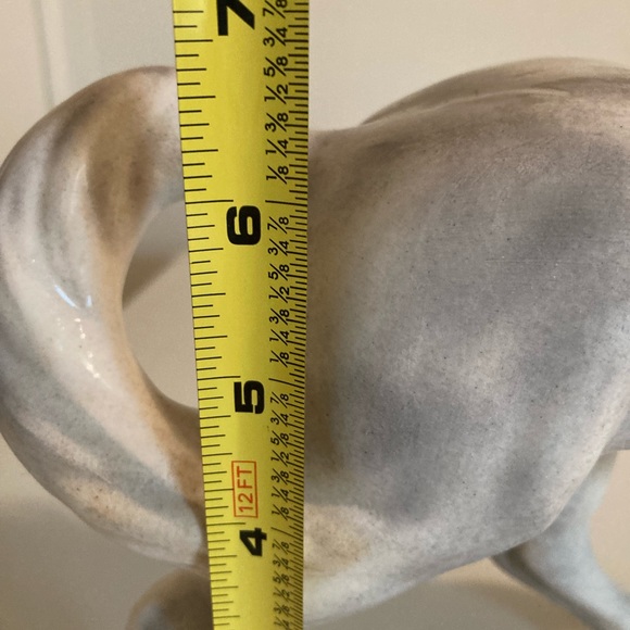 Horse 🐎 - Picture 6 of 6